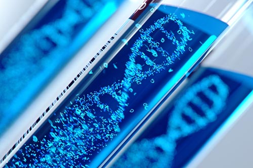 DNA inside of test tubes